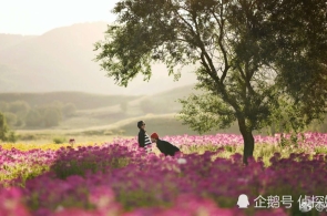 李强订立邦务院令 宣布《邦务院合于实行〈中华人民共和邦公法令〉注册资本立案处理轨制的轨则》